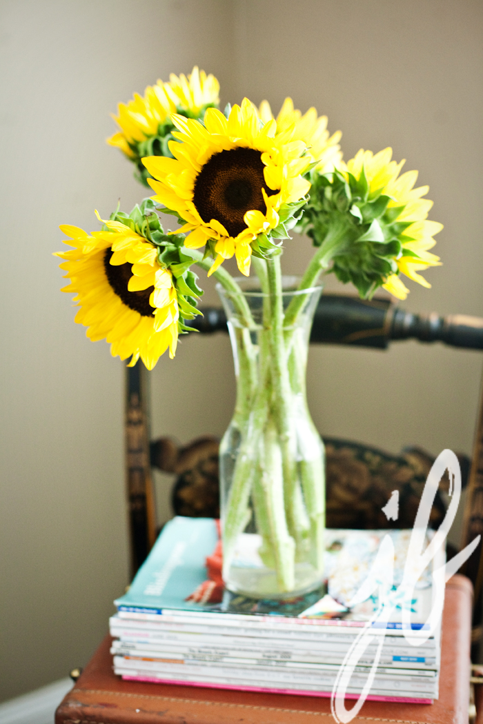 IMG_4375 IMG_4375
